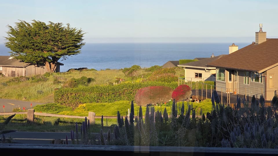 Actual view from inside the bedroom