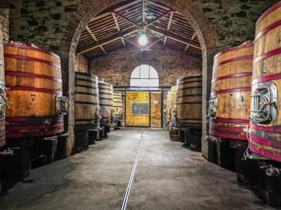 Barrel, Winery, Ceiling, Light Fixture, Hall, Beam, Basement