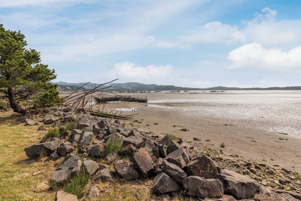 Wide sandy beach stretches along the coastline with dramatic driftwood sculptures and rocky outcroppings under expansive blue skies.