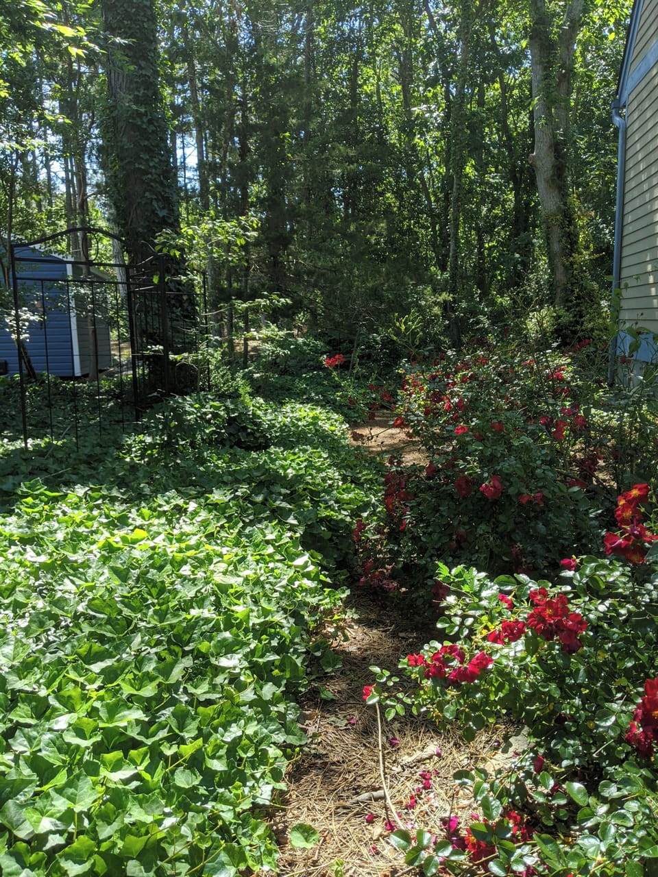 Property grounds