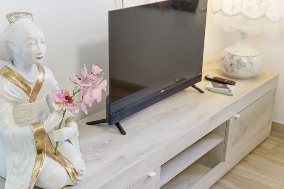 Television