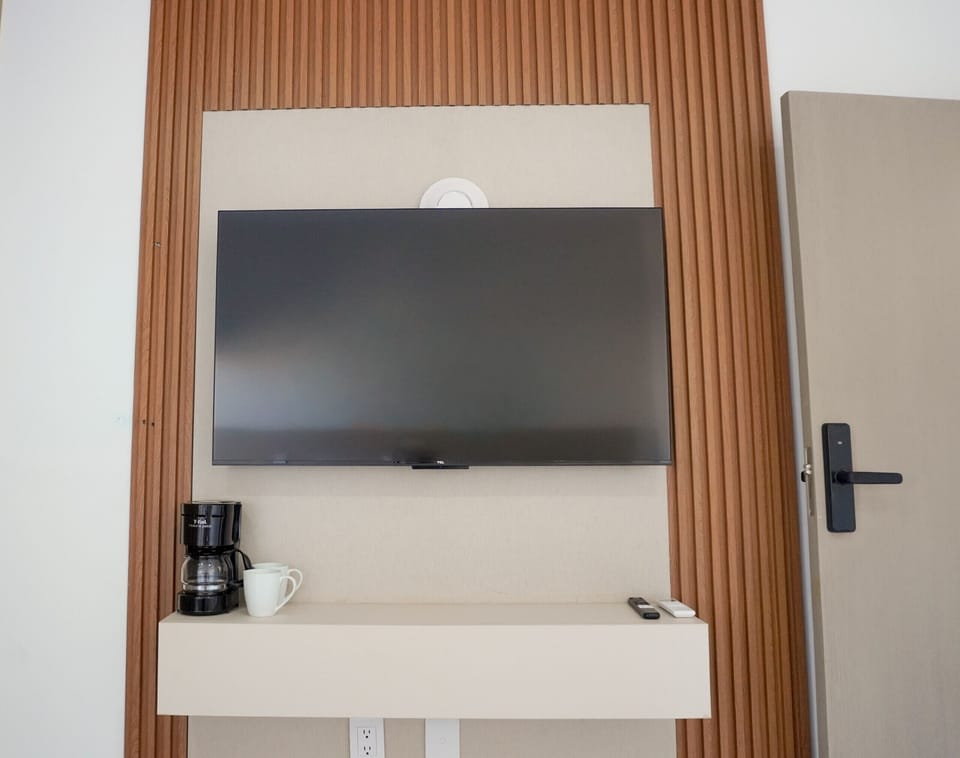 Television