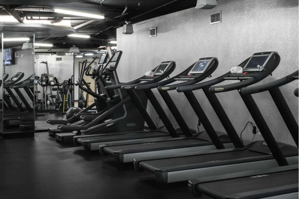 Power through workouts with modern cardio machines and open space.