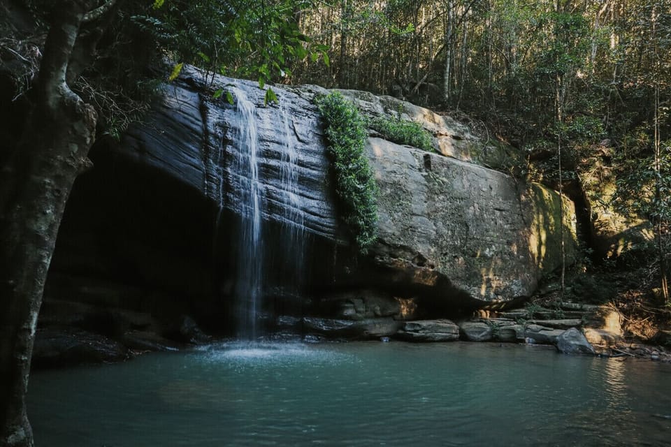 Serenity Falls at Buderim Forest Park