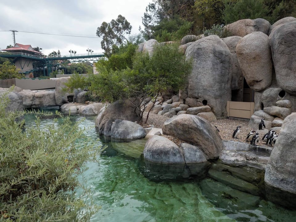 Discover memorable local attractions and wildlife experiences close by.
