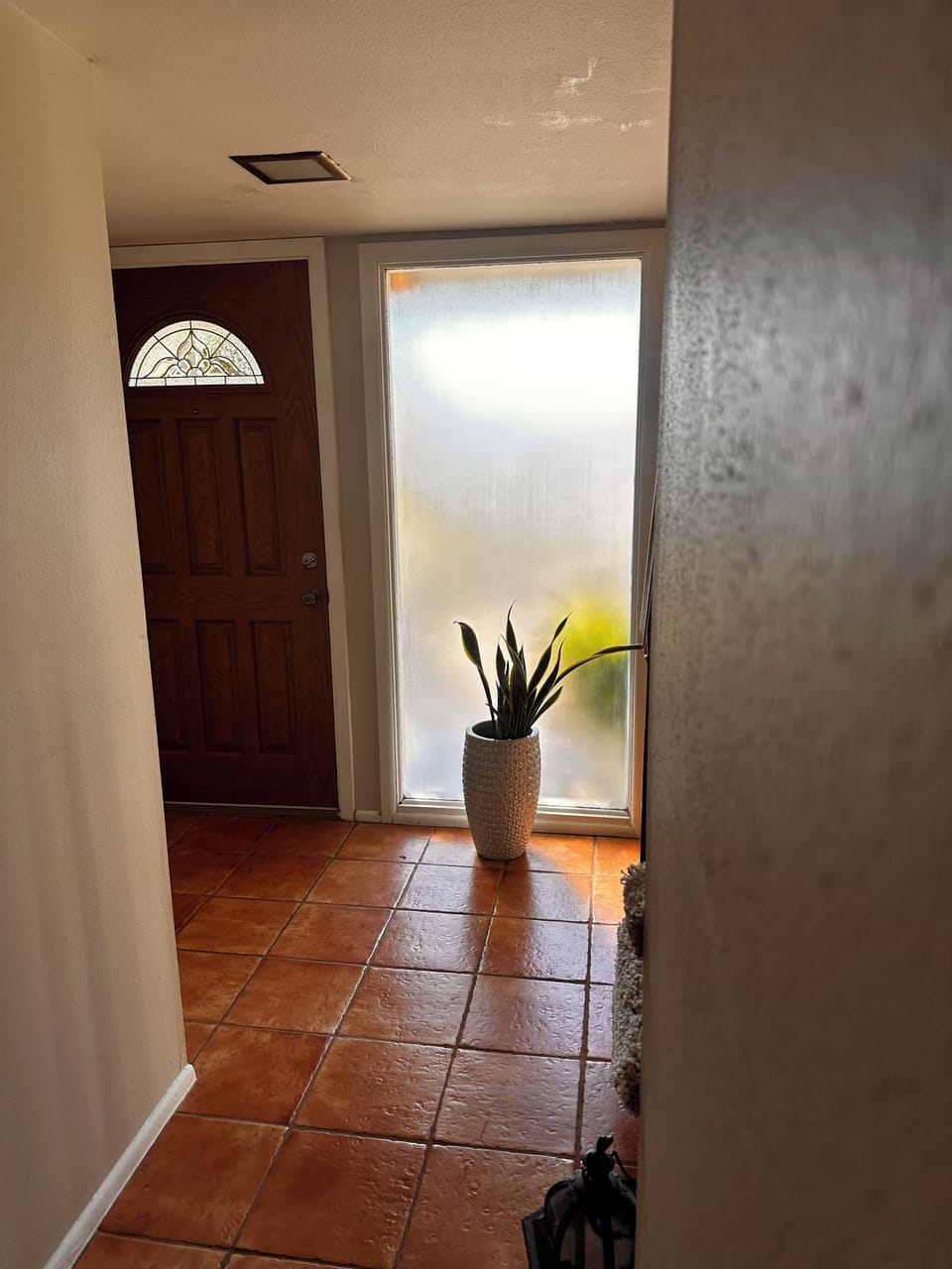 Main Door 