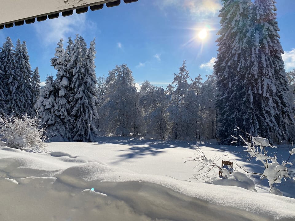 View from property