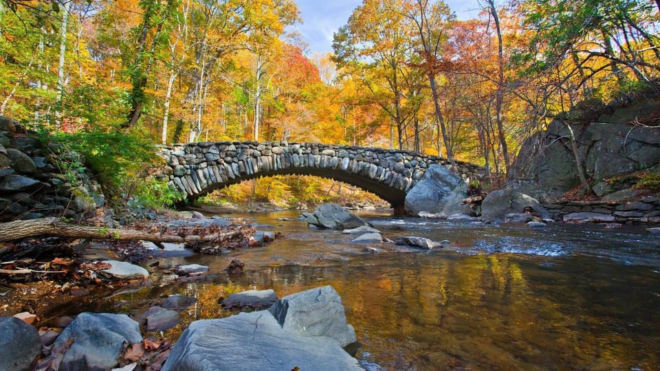 Escape the bustle with peaceful nature walks beyond the city.