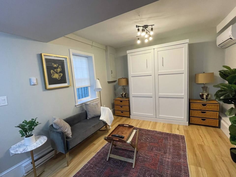 Living room space with Murphy bed up.