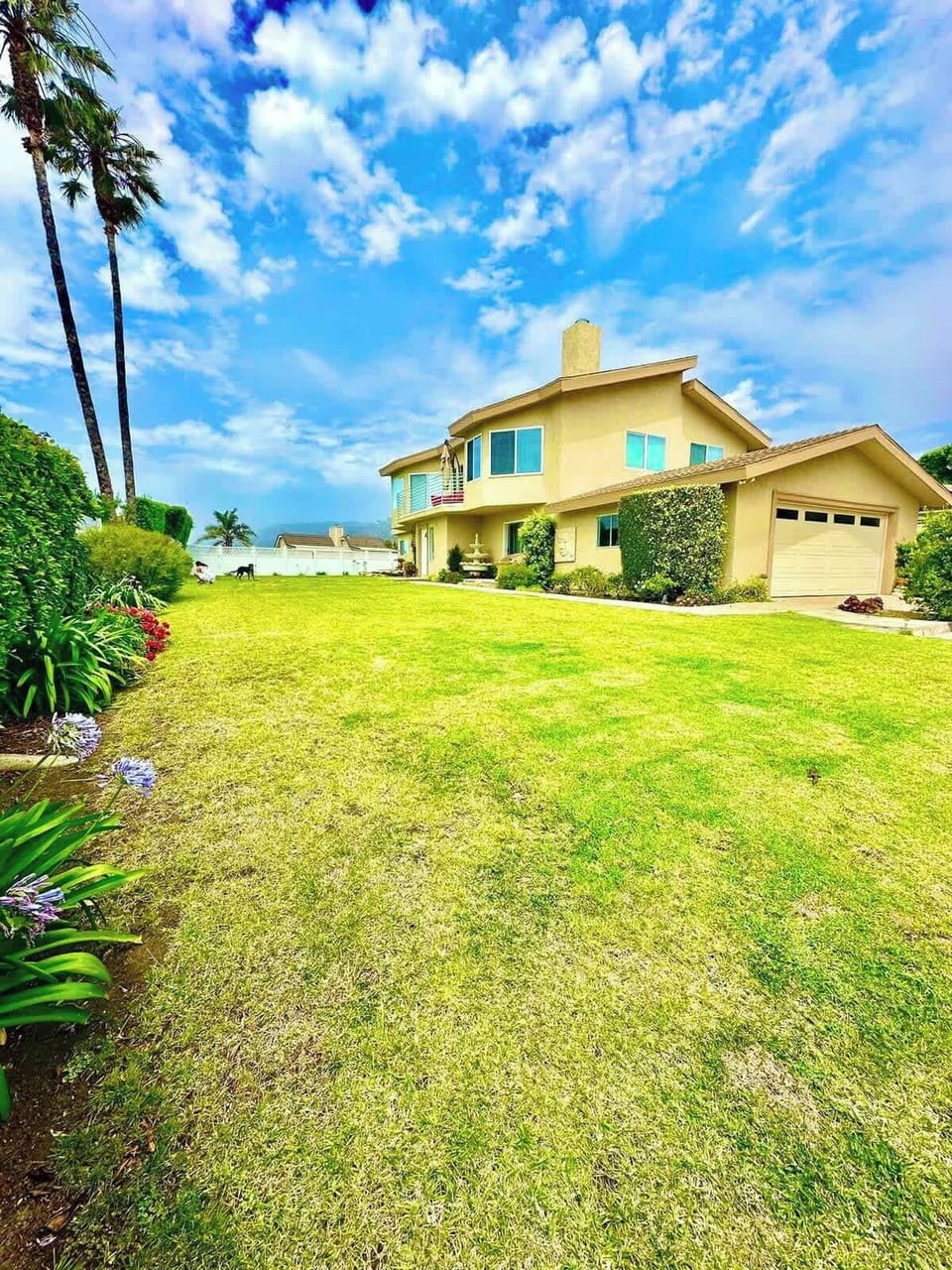 House and yard from the front
