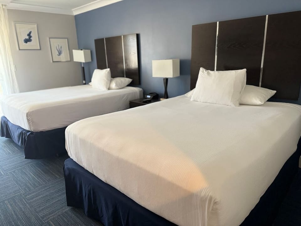 Settle into crisp white linens for a deeply restful night.