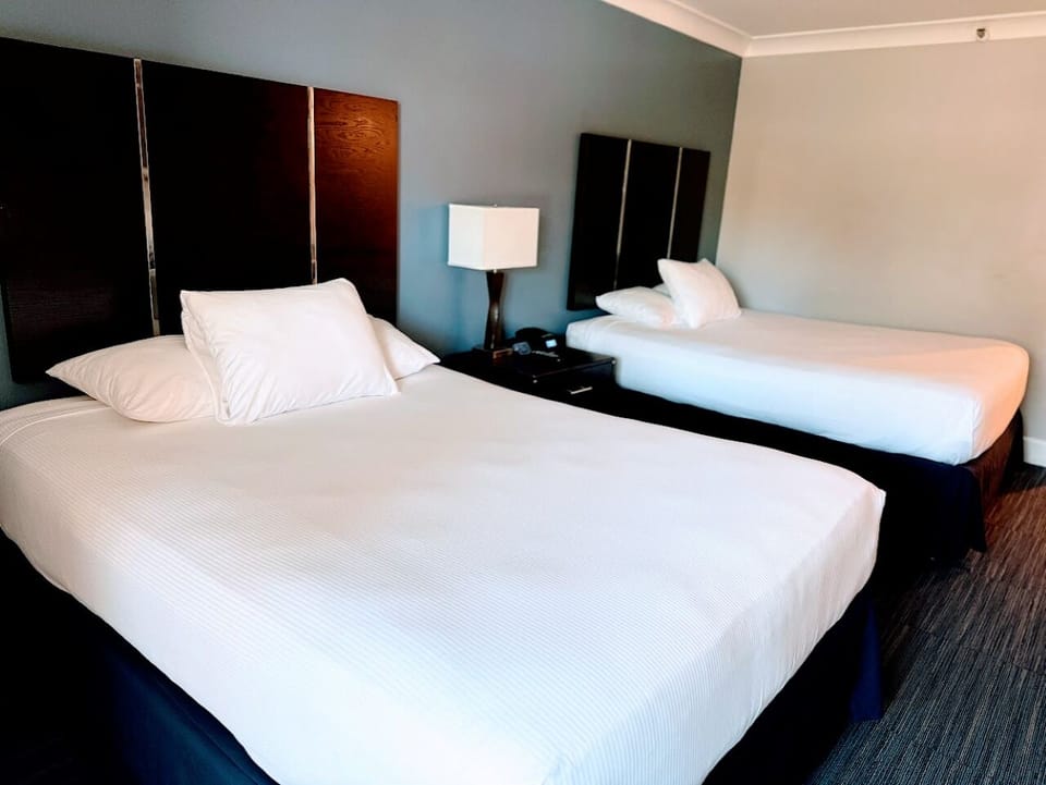 Wake up refreshed in a spacious room with modern comforts.