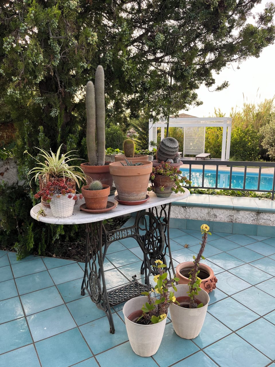 Terrace/patio
