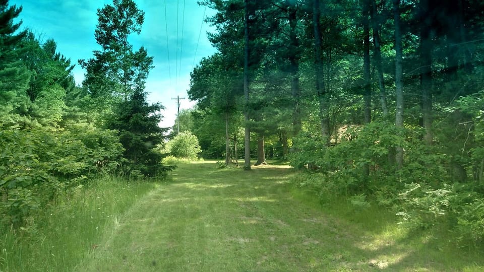 Secluded Rustic Cabin Rental Inside Manistee National Forest in Brethren, Michigan Cabin in Michigan