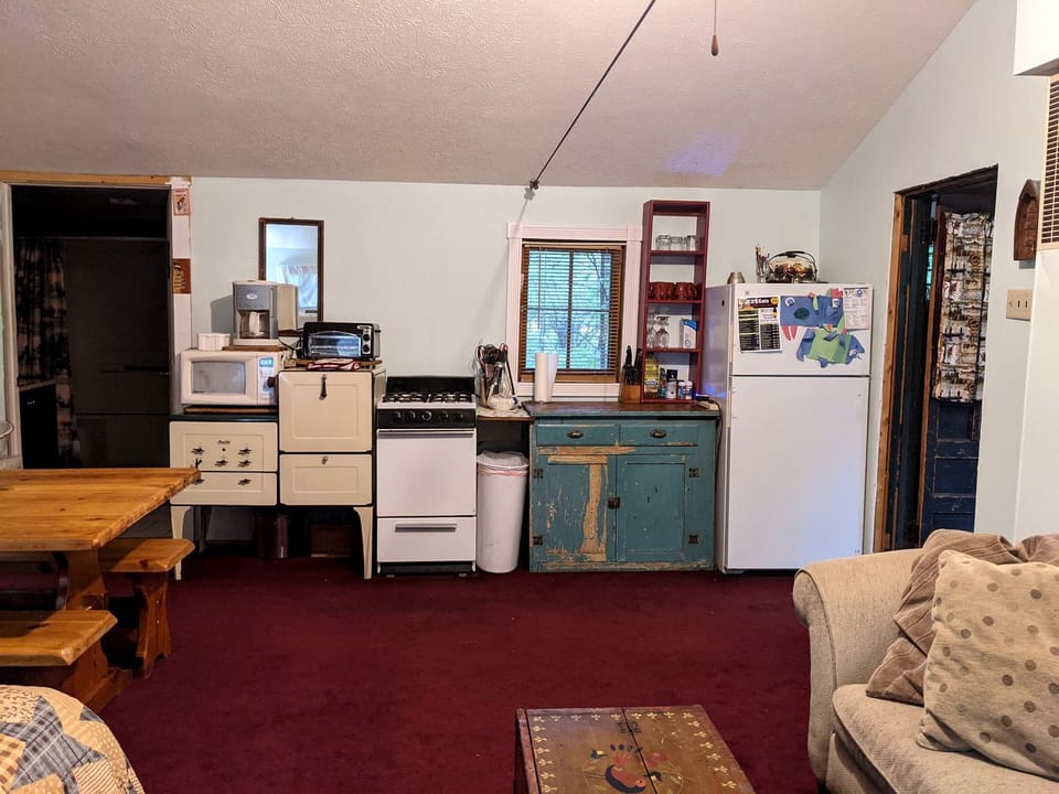 Secluded Rustic Cabin Rental Inside Manistee National Forest in Brethren, Michigan Cabin in Michigan