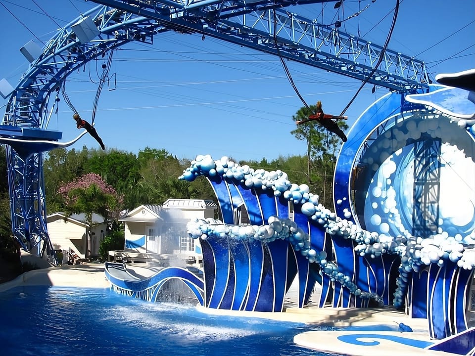 Dive into unforgettable fun at a vibrant poolside show.
