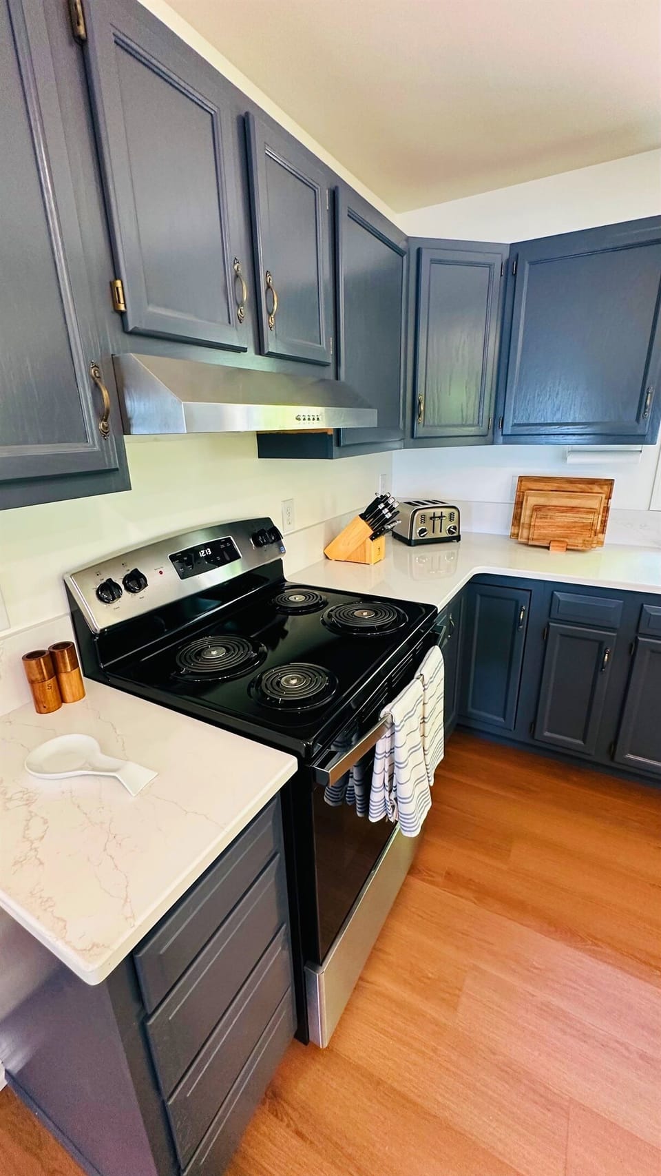 Electrice stove and kitchen accessories