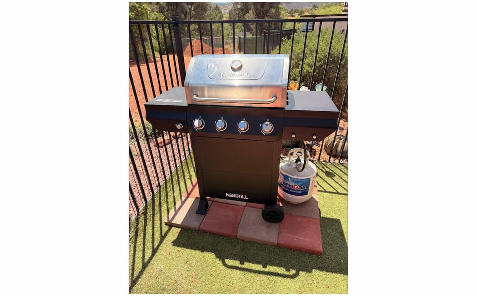 Propane Grill