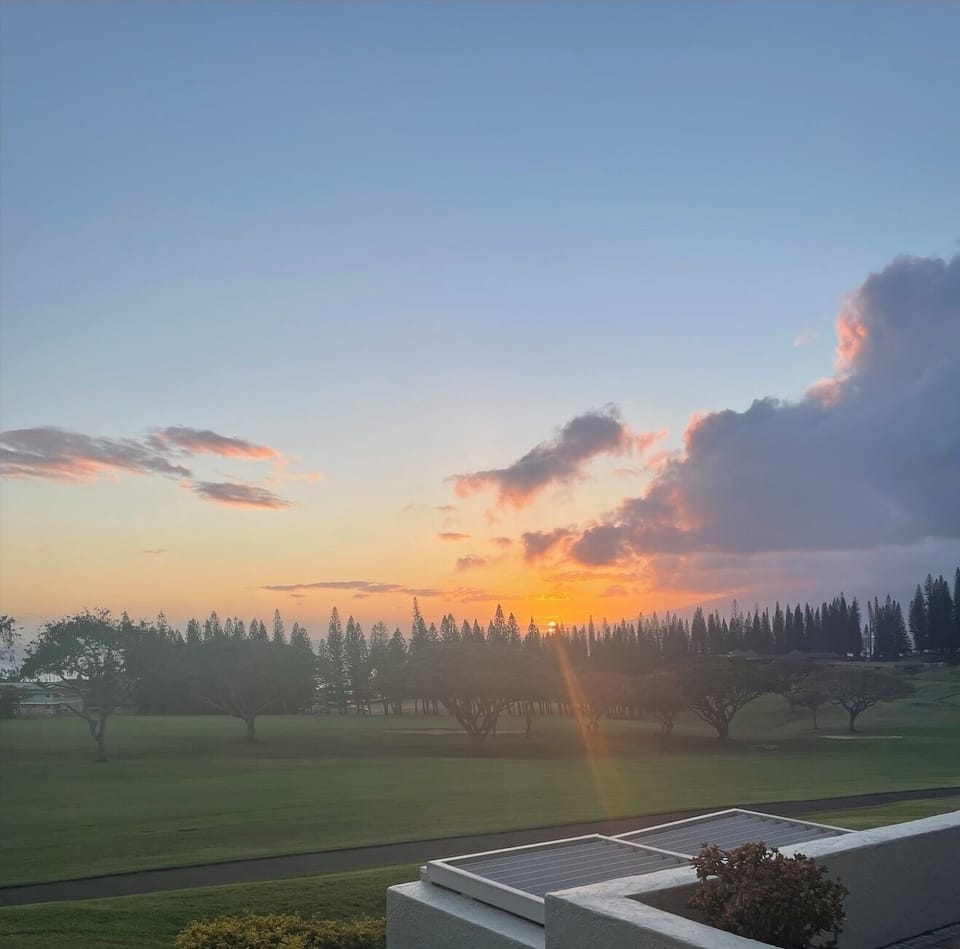 You can see ocean and sunset sky between the iconic pine trees