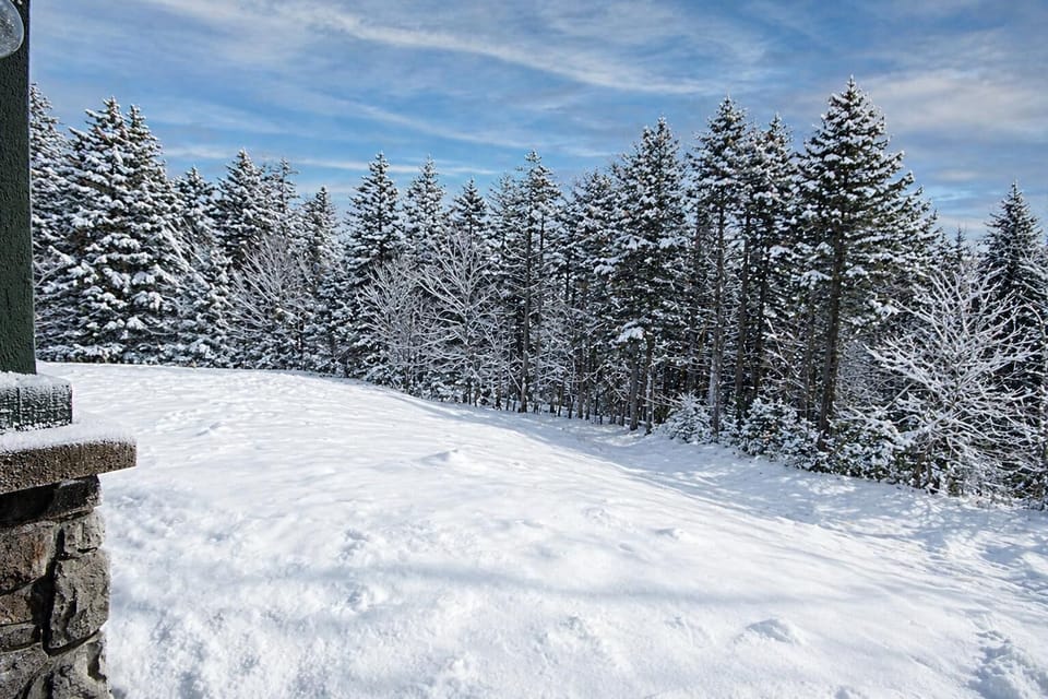 Snow-covered view in the back of the property.
