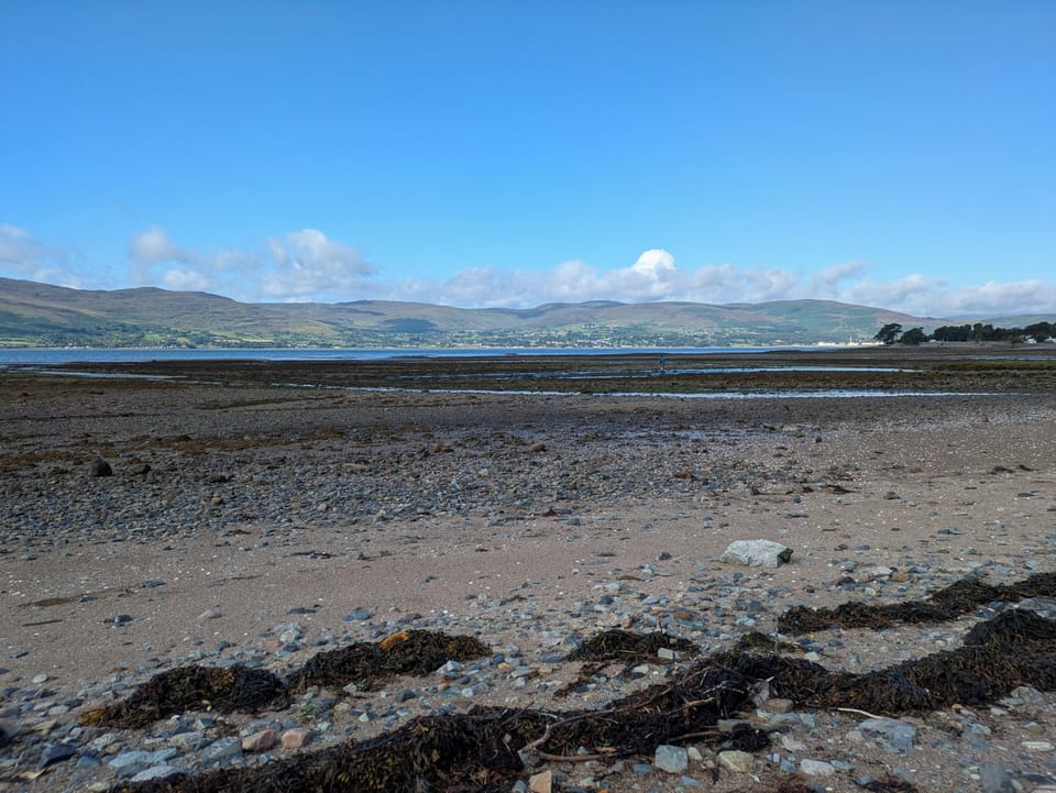 The local shore