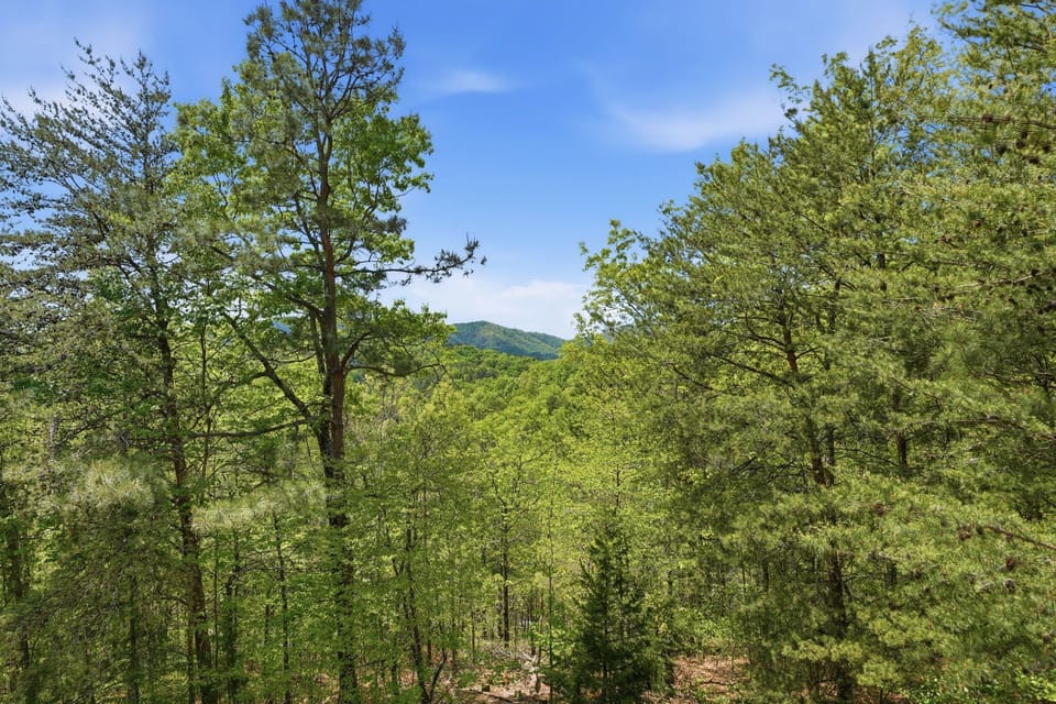 View from the main level deck