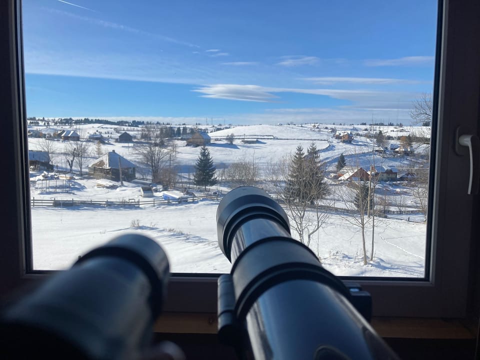 The View