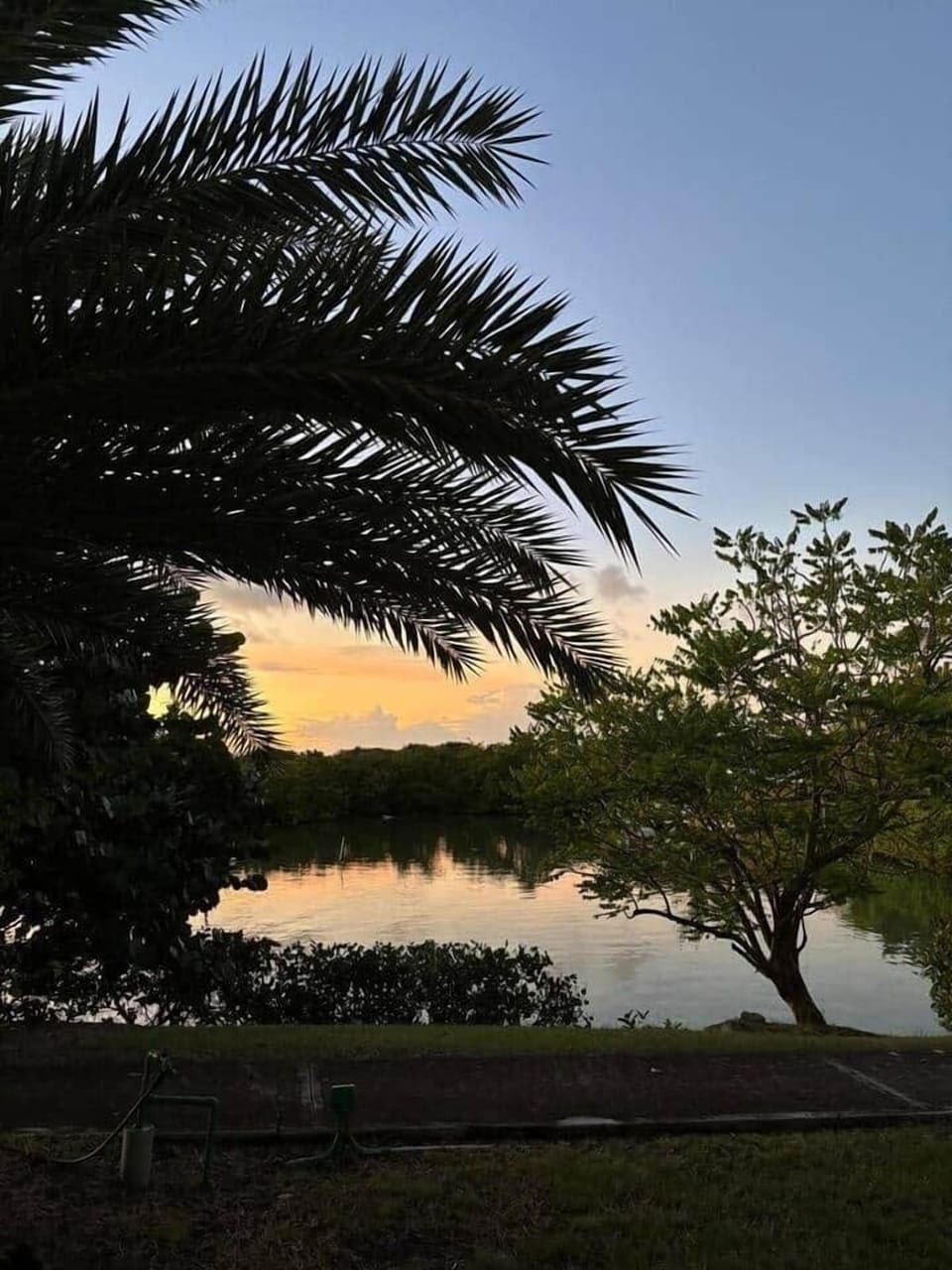 View from patio