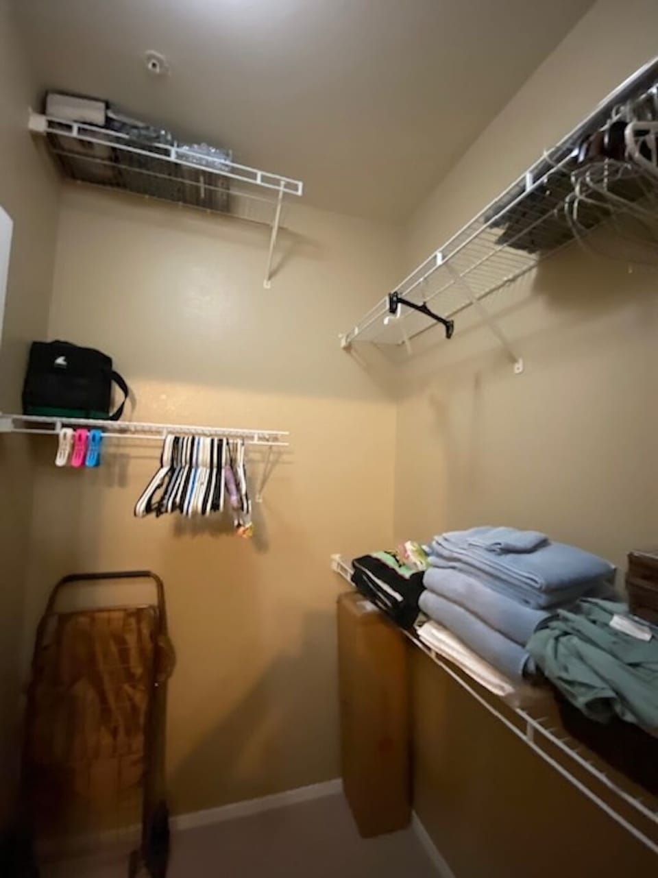 Miscellaneous