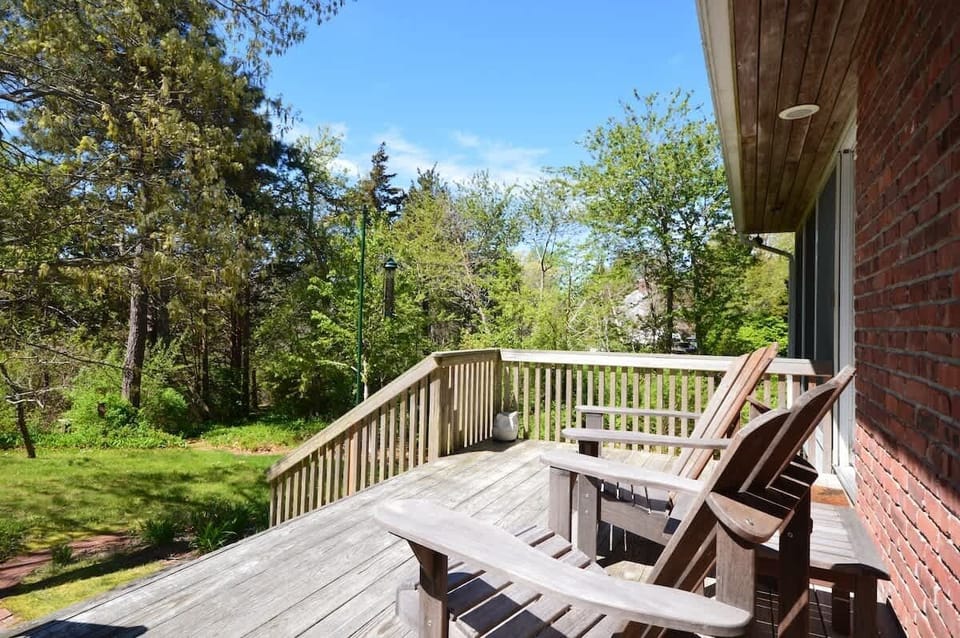 Back yard, view off of deck