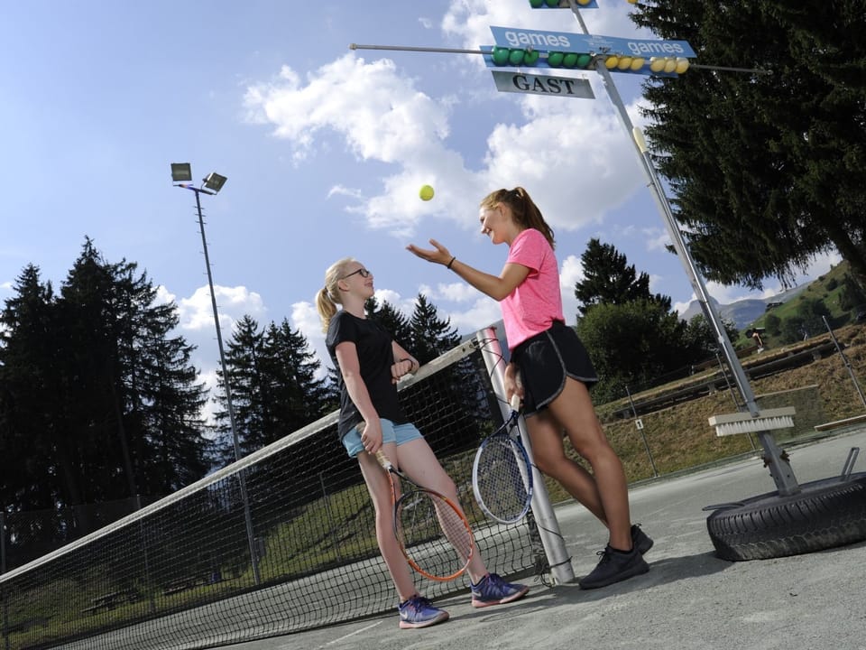 Sport court