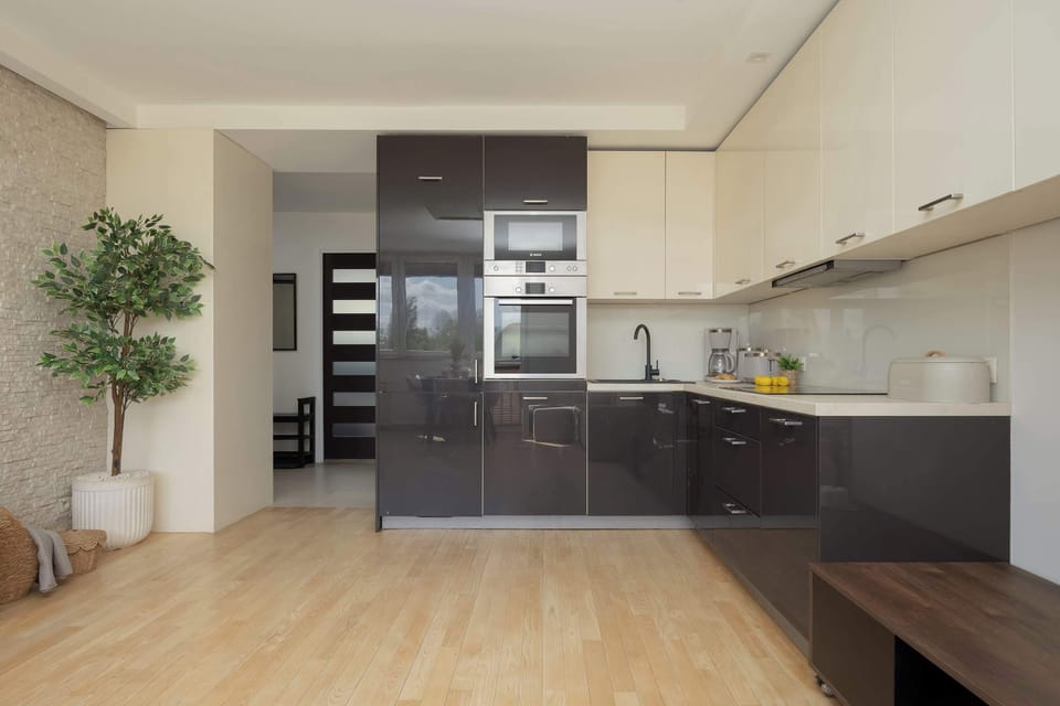 A modern kitchenette. A potted plant adds a decorative touch, while the layout emphasizes functionality and comfort.