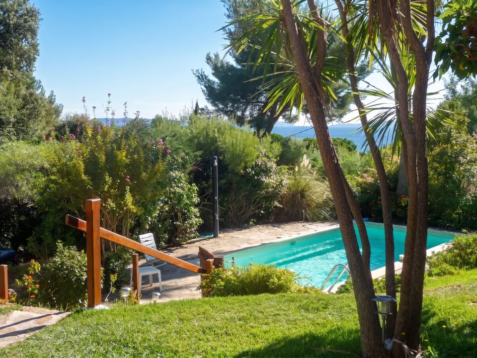 Swimming pool view