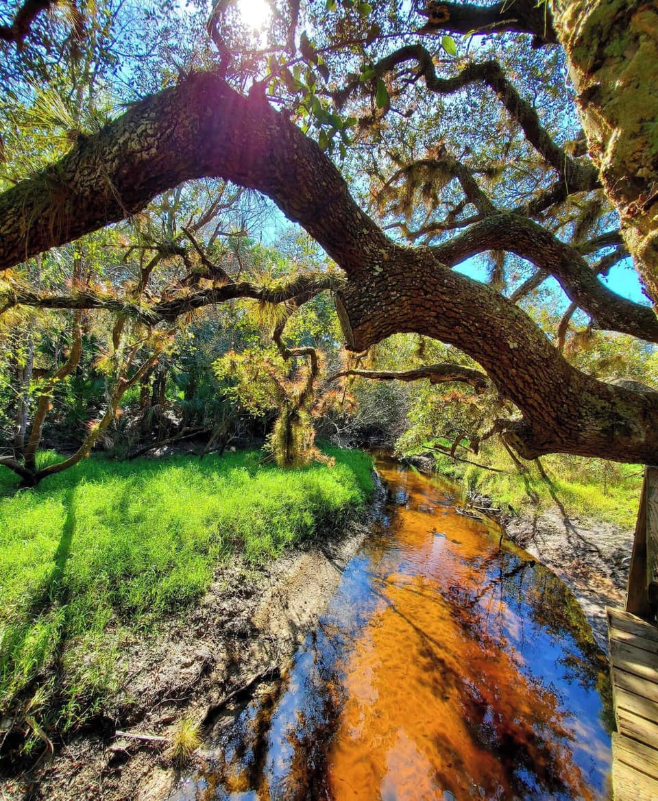 Myakkahatchee Creek Environmental Park