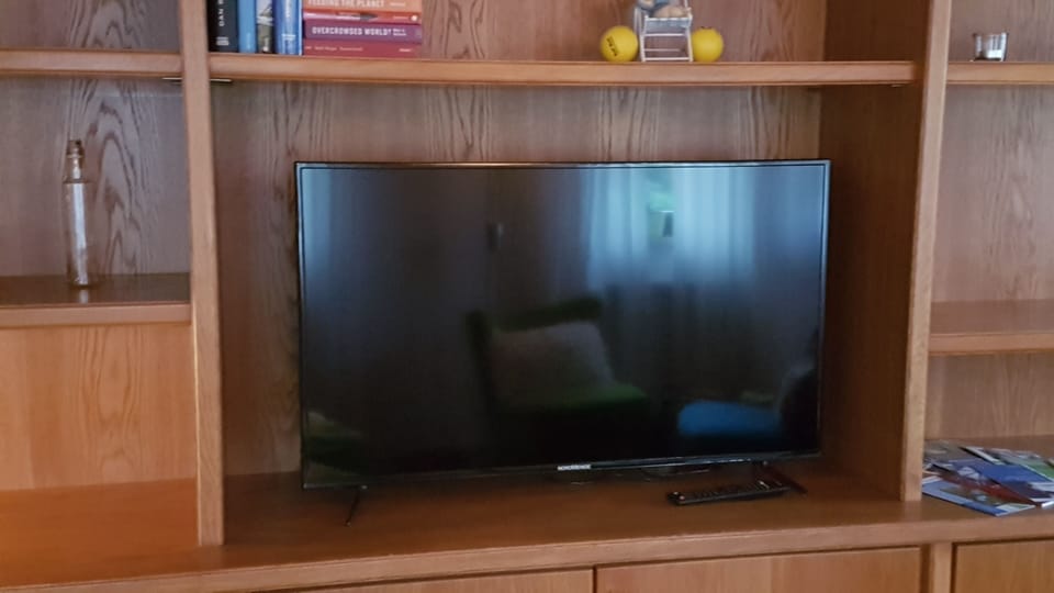 Television