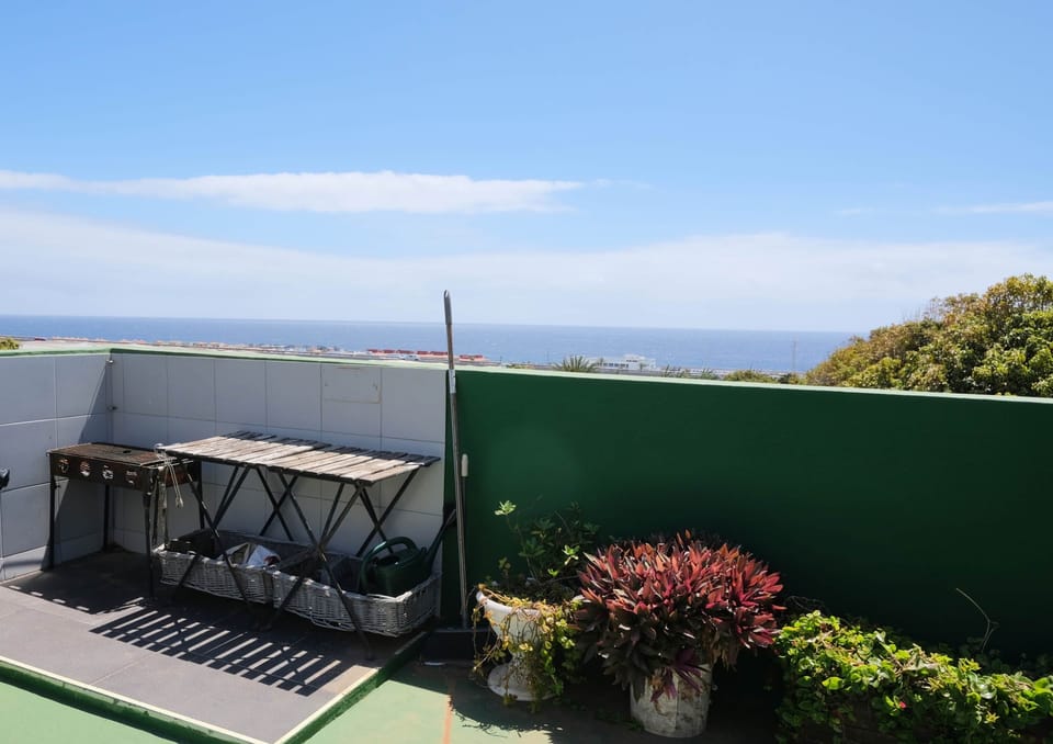 Terraza 1