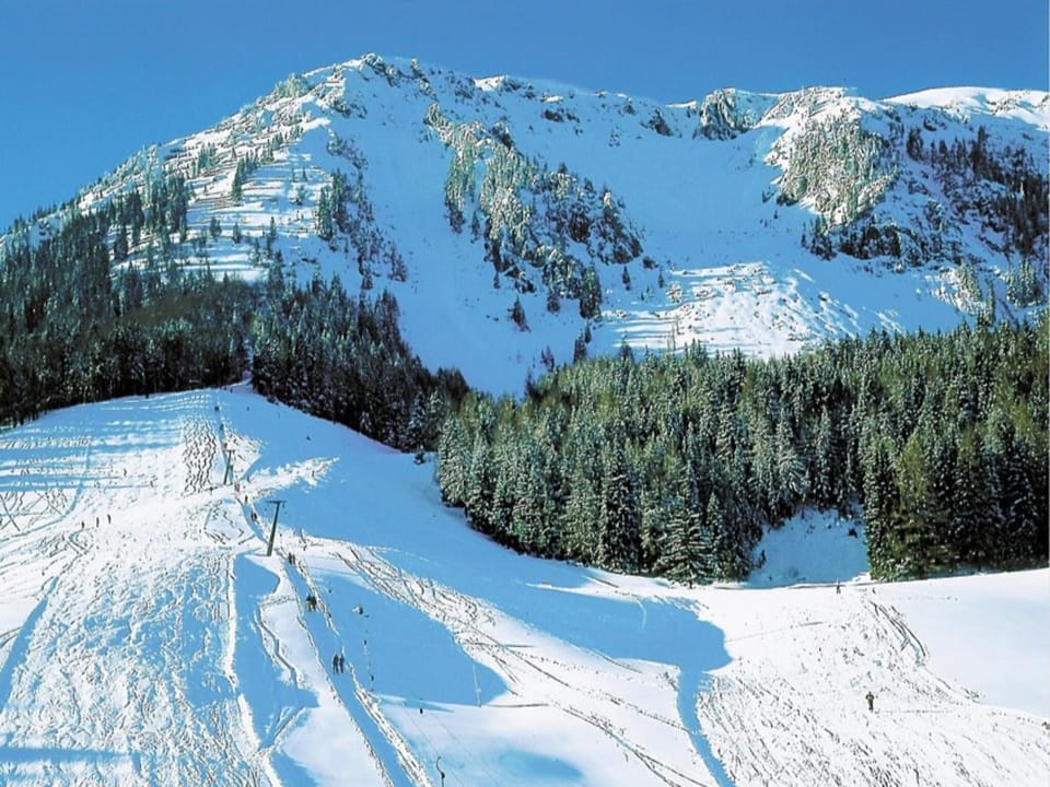 Immediate Surroundings [winter] (<1 km)