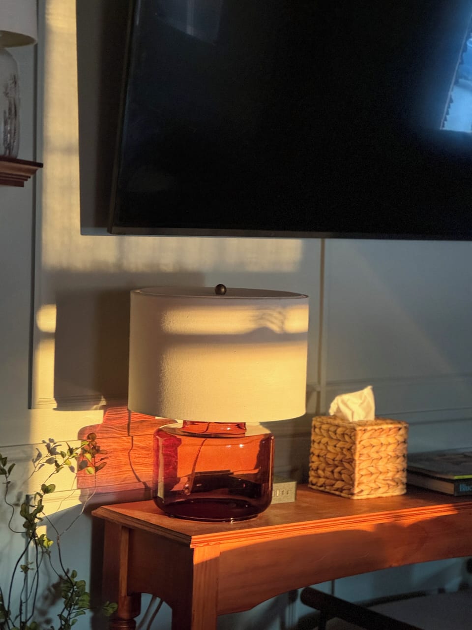 Television