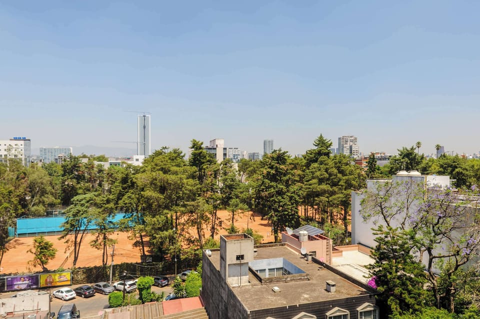 City views and greenery