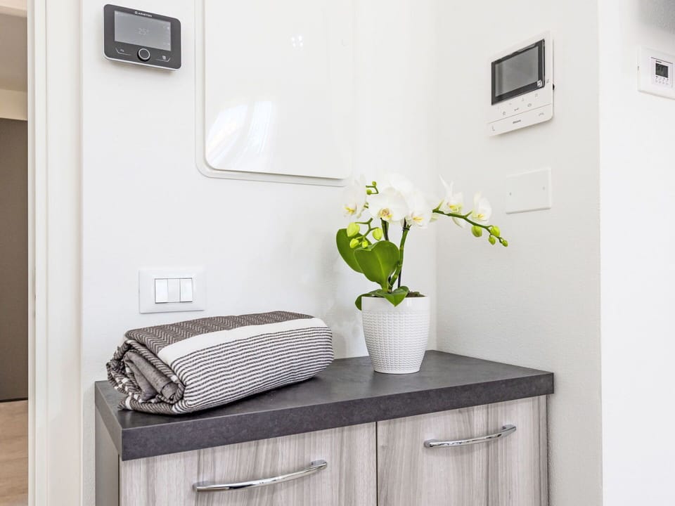 Interior Design, Cabinetry, Furniture, Room, Countertop, Plumbing Fixture, Home Appliance, Bathroom Cabinet, Houseplant, Tap