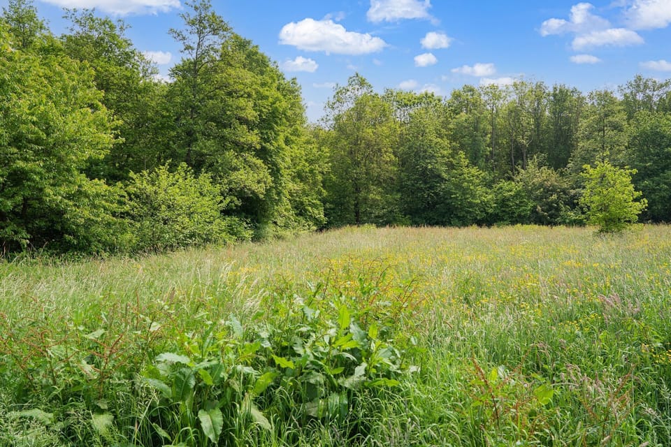 Immediate Surroundings [summer] (<1 km)