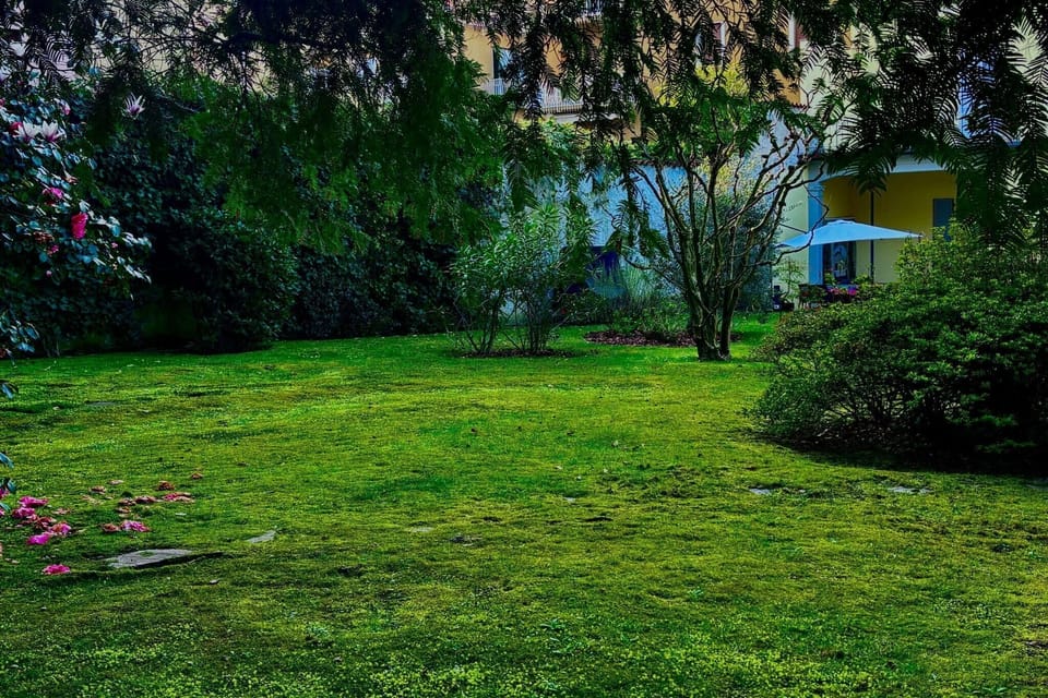 Garden [summer]