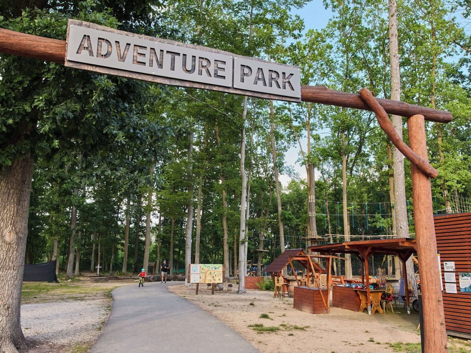 Tree, Wood, Public Space, Recreation, Leisure, Park, Shade, Outdoor Play Equipment, Vacation, Playground