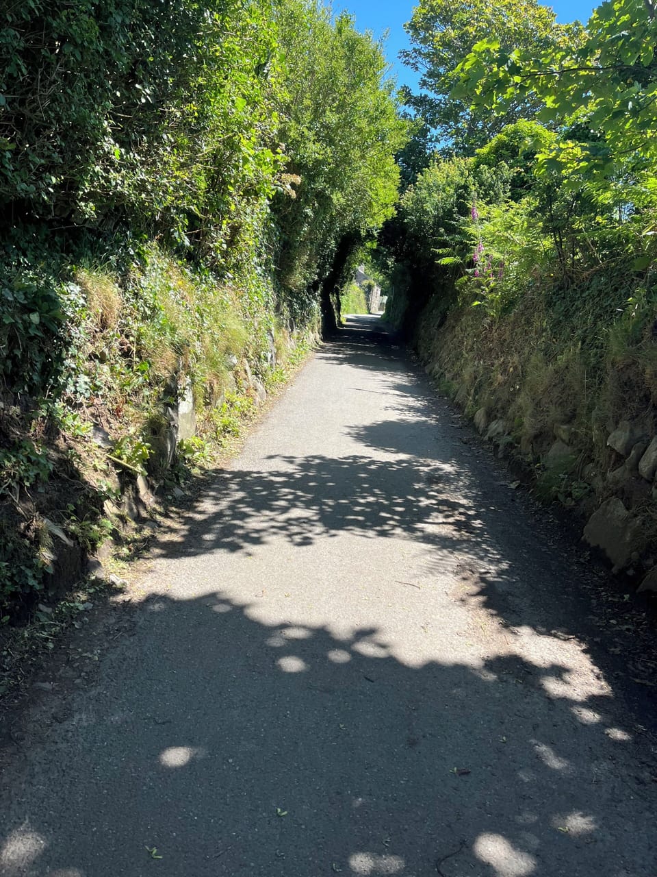 Single track lane to property from main road