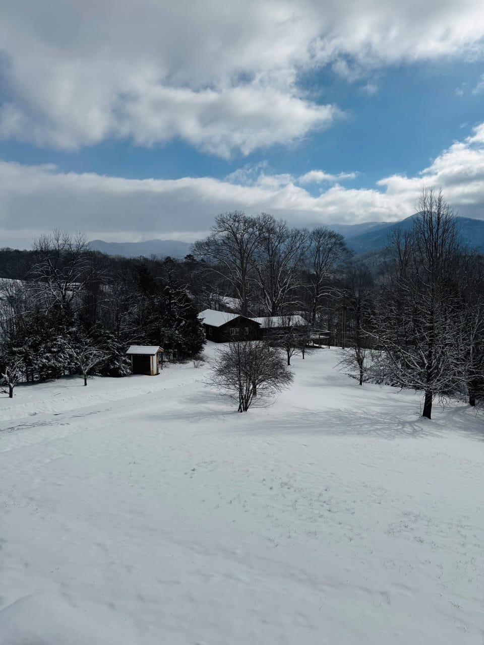 Snow Days!
