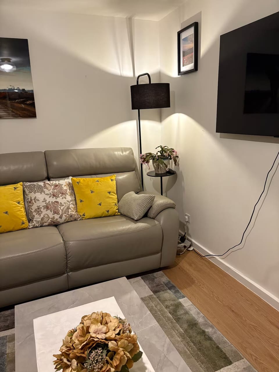 Living Room / Lounge
