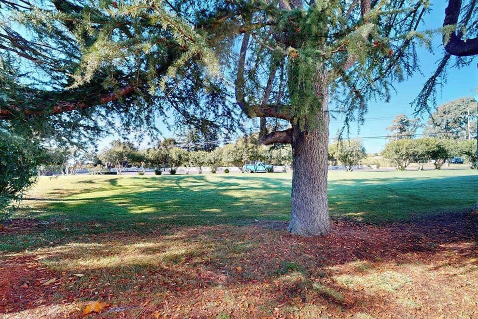 Your personal golf course view stretches across emerald fairways shaded by grand oaks — iconic Napa Valley resort living right outside your door.