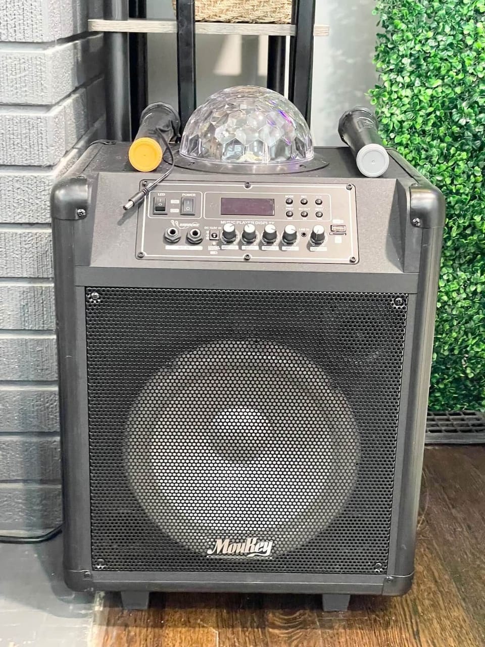 Karaoke Machine w/ 2x mics and LED lights