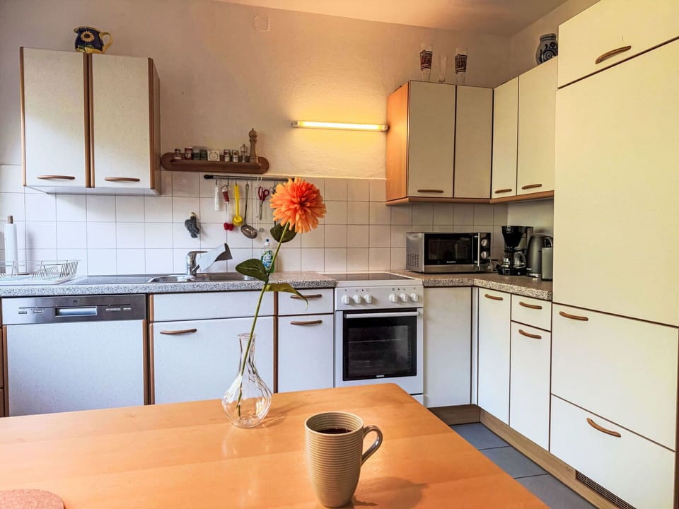 Kitchen Appliance, Kitchen, Countertop, Cabinetry, Interior Design, Major Appliance, Furniture, Kitchen Sink, Wood, Flooring