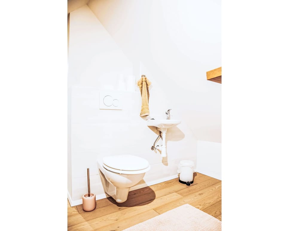 Flooring, Floor, Wood, Interior Design, Toilet, Plumbing Fixture, Bathroom, Toilet Seat, Plumbing, Home